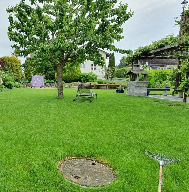 Professionelle Rasensanierung Winterthur